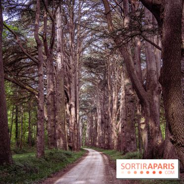 Photos : Château de Cheverny