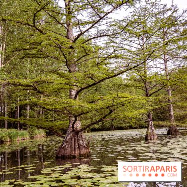 Photos : Château de Cheverny