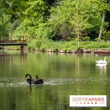 Photos : Château de Cheverny