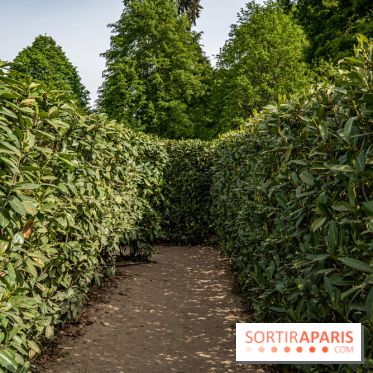 Photos : Château de Cheverny