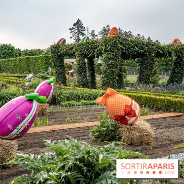 Photos : Château de Cheverny