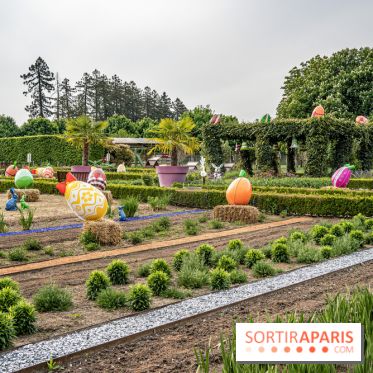 Photos : Château de Cheverny