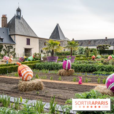 Photos : Château de Cheverny