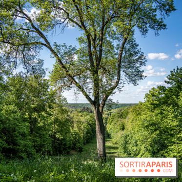 Le Château de Breteuil, ses jardins remarquables et contes de Perrault 