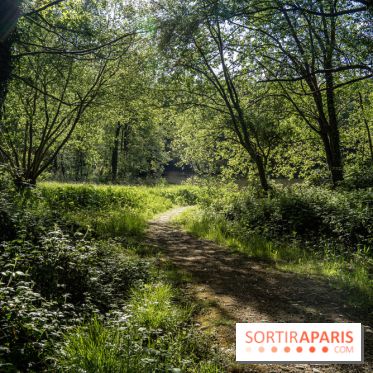 Le Château de Breteuil, ses jardins remarquables et contes de Perrault 
