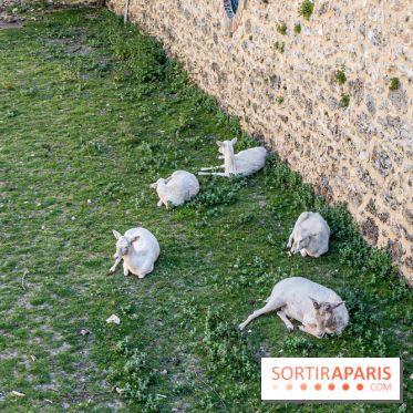 Le Château de Breteuil, ses jardins remarquables et contes de Perrault 