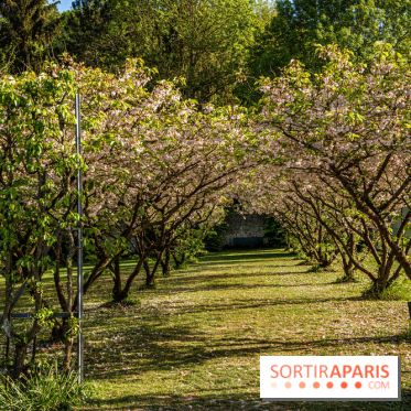 Le Château de Breteuil, ses jardins remarquables et contes de Perrault 