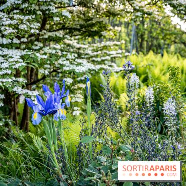 Le Château de Breteuil, ses jardins remarquables et contes de Perrault 