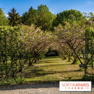 Le Château de Breteuil, ses jardins remarquables et contes de Perrault 