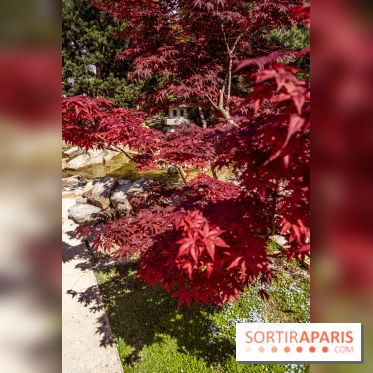 Le Jardin Japonais d'Ichikawa à Issy-les-Moulineaux
