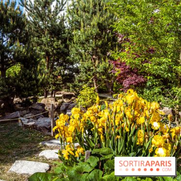 Le Jardin Japonais d'Ichikawa à Issy-les-Moulineaux