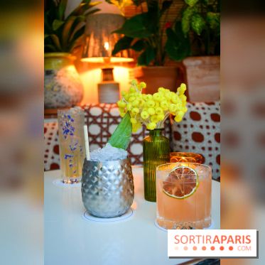 Le Petit Toit, le rooftop secret du restaurant Le Petit Victor Hugo