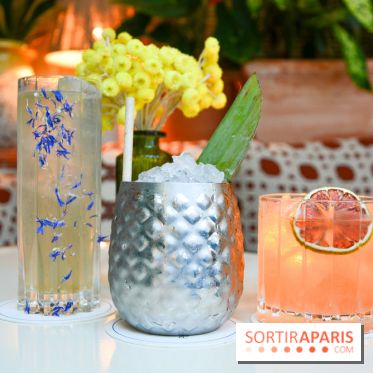 Le Petit Toit, le rooftop secret du restaurant Le Petit Victor Hugo