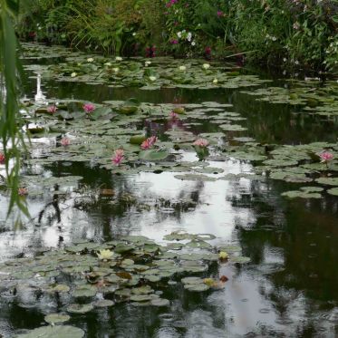 Maison et Jardins Claude Monet à Giverny