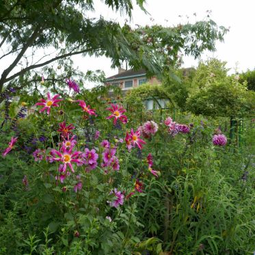 Maison et Jardins Claude Monet à Giverny