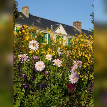 Maison et Jardins Claude Monet à Giverny