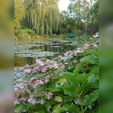 Maison et Jardins Claude Monet à Giverny