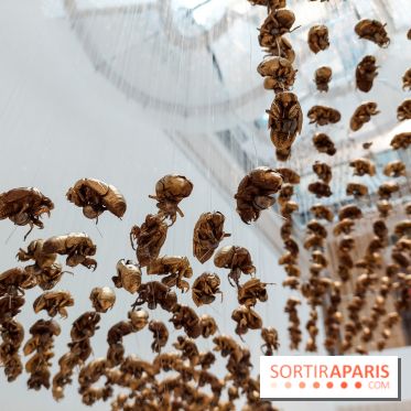 Exposition De l’Art de vivre au Centre Culturel Canadien, nos photos