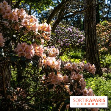 Le Parc Floral en photos 