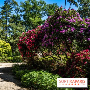 Le Parc Floral en photos 