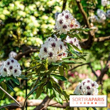 Le Parc Floral en photos 