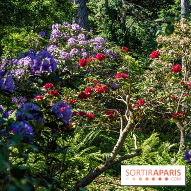 Le Parc Floral en photos 