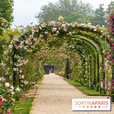 Photos : La Roseraie du val-de-Marne