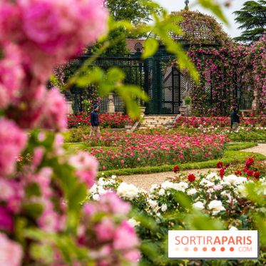 Photos : La Roseraie du val-de-Marne
