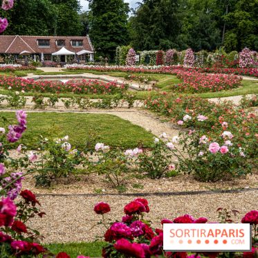 Photos : La Roseraie du val-de-Marne