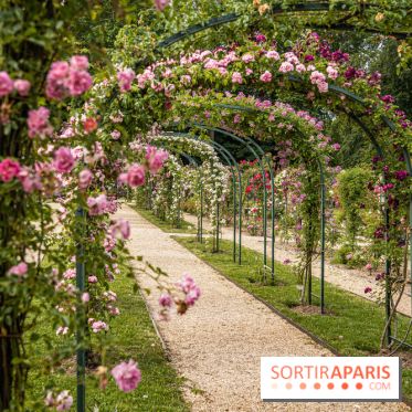 Photos : La Roseraie du val-de-Marne