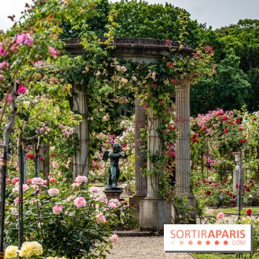 Photos : La Roseraie du val-de-Marne