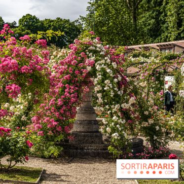 Photos : La Roseraie du val-de-Marne