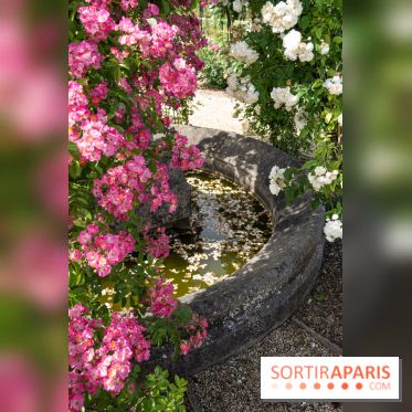 Photos : La Roseraie du val-de-Marne