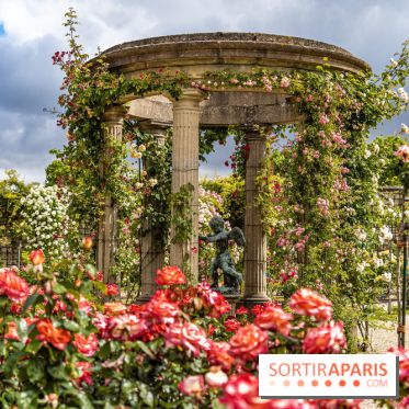 Photos : La Roseraie du val-de-Marne