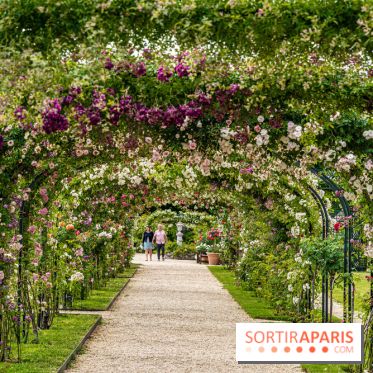 Photos : La Roseraie du val-de-Marne