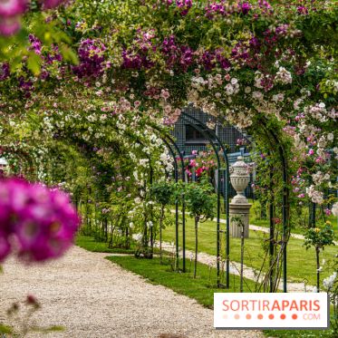 Photos : La Roseraie du val-de-Marne