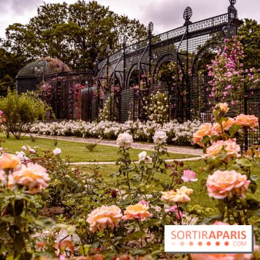 Photos : La Roseraie du val-de-Marne