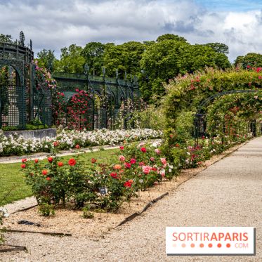 Photos : La Roseraie du val-de-Marne