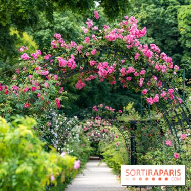 Photos : La Roseraie du val-de-Marne