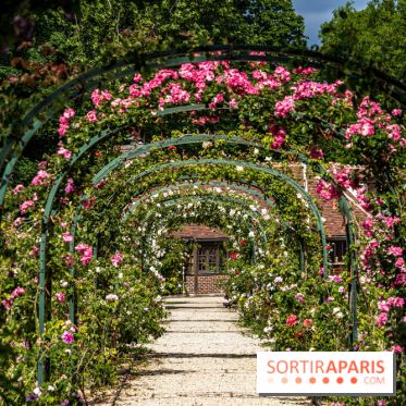 Photos : La Roseraie du val-de-Marne