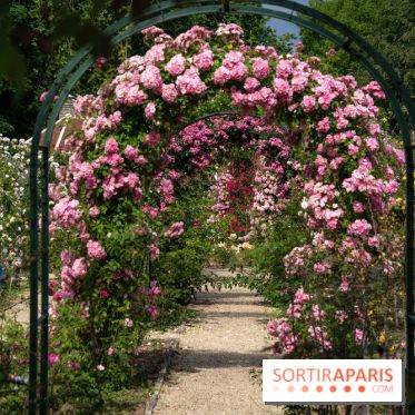 Photos : La Roseraie du val-de-Marne
