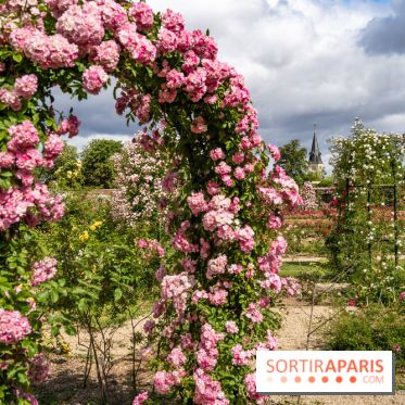 Photos : La Roseraie du val-de-Marne