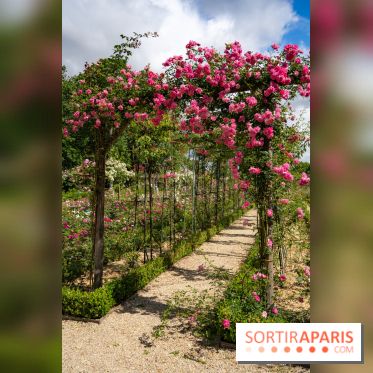 Photos : La Roseraie du val-de-Marne