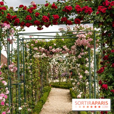 Photos : La Roseraie du val-de-Marne