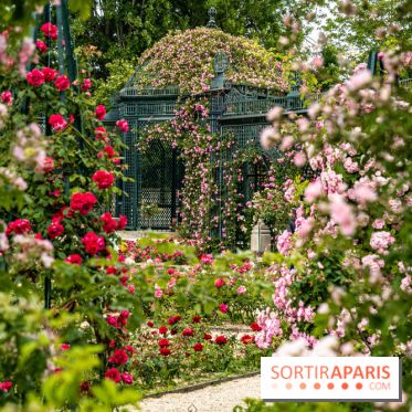 Photos : La Roseraie du val-de-Marne