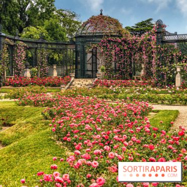 Photos : La Roseraie du val-de-Marne