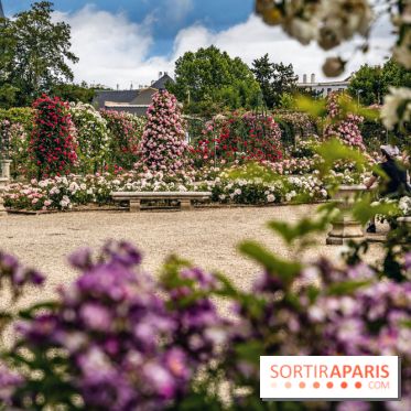 Photos : La Roseraie du val-de-Marne