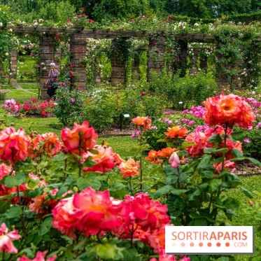 La Roseraie du Parc Lebaudy sur l'Ile de Puteaux
