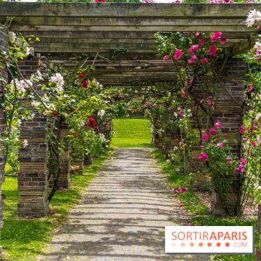 La Roseraie du Parc Lebaudy sur l'Ile de Puteaux