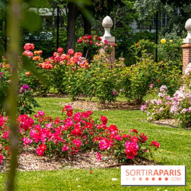 La Roseraie du Parc Lebaudy sur l'Ile de Puteaux